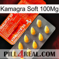 Kamagra Soft 100Mg new01